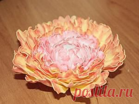 Пион от Nimfadora