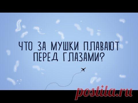 Откуда у нас перед глазами летающие мушки? (2 фото + видео)