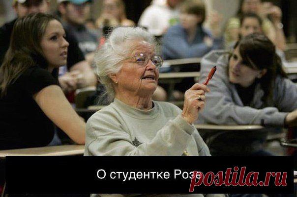О студентке Розе