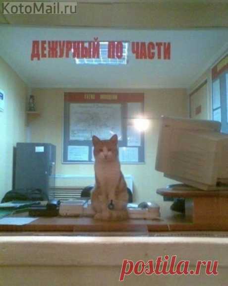 Ночная смена