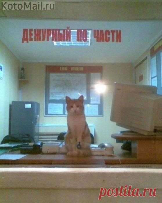 Ночная смена