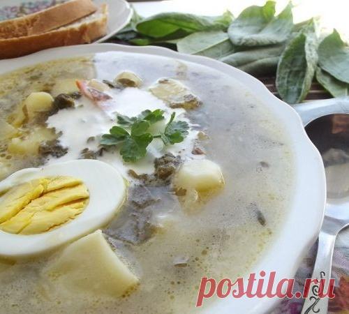 Щи из щавеля