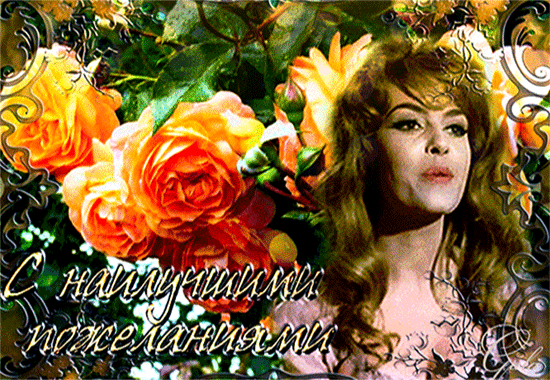 123451635.gif (550×380)