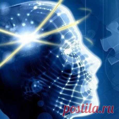10 простых, но эффективных упражнений на развитие памяти / Научный хит