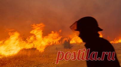 Ситуация с лесными пожарами в Станично-Луганском районе ЛНР взята под контроль. Ситуация с лесными пожарами в Станично-Луганском районе ЛНР взята под контроль. Читать далее