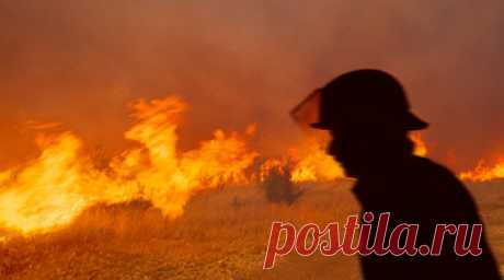 Ситуация с лесными пожарами в Станично-Луганском районе ЛНР взята под контроль. Ситуация с лесными пожарами в Станично-Луганском районе ЛНР взята под контроль. Читать далее