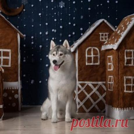 Архивы тематическая коллекция - Блог Depositphotos