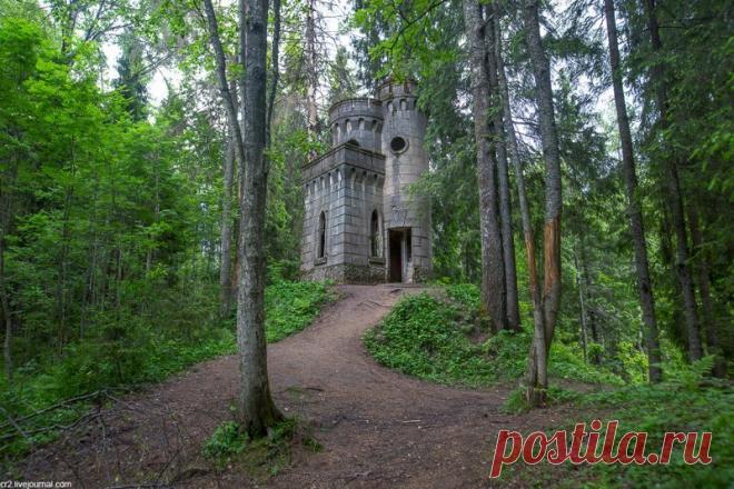 Новгородская область. Усадьба Заветное - остатки 