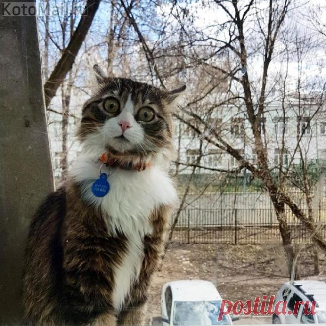 Когда узнал, что до весны осталось две недели