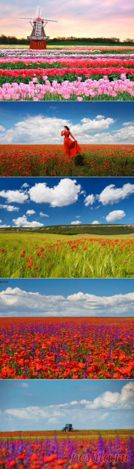 Краски весеннего Крыма / Туристический спутник