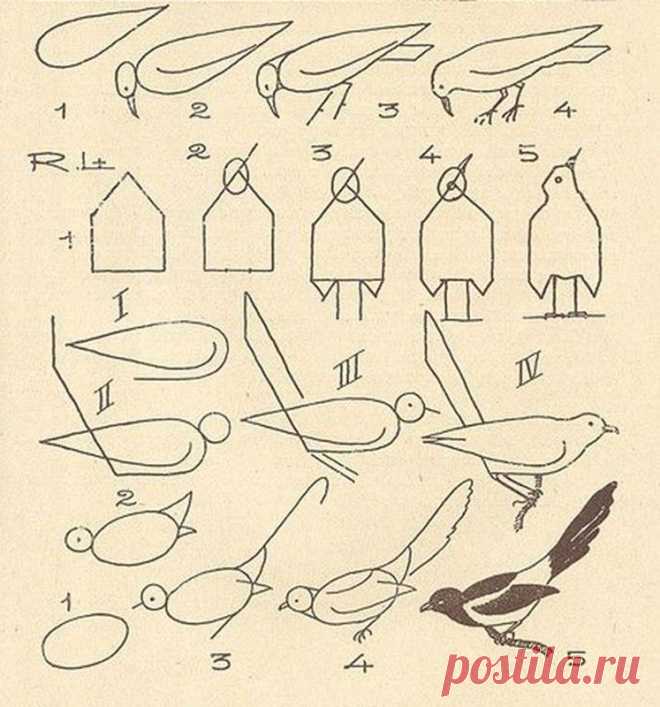 Учим детей рисовать | Подружки