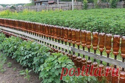 И заборчик симпатичный, и бутылки использованные в дело