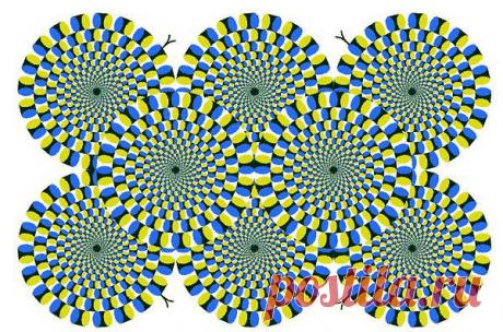 Irina Yun: ПОЧЕМУ У МУЖЧИН ГОЛОВА ХОРОШО РАБОТАЕТ КАК ПО БОЛЬШЕ ЗА*РАБОТАТЬ ДЕНЬГИ****НО У ЖЕНЩИН КАК МОЖНА ПО БОЛЬШЕ КУДА НИБУДЬ ИХ ПОТРАТИТЬ (((( ОДНИМ СЛОВОМ ДАВАЙТЕ ХОРОШЕЕ СОВМЕЩАТЬ С ПОЛЕЗНЫМ !!!!!