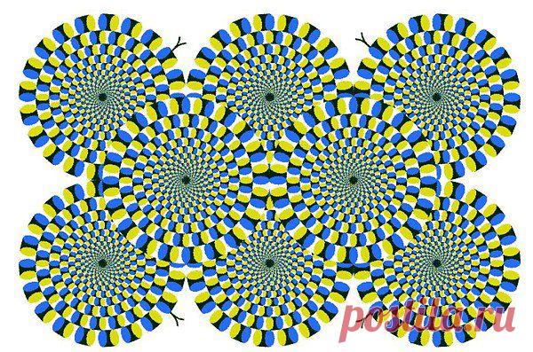 Irina Yun: ПОЧЕМУ У МУЖЧИН ГОЛОВА ХОРОШО РАБОТАЕТ КАК ПО БОЛЬШЕ ЗА*РАБОТАТЬ ДЕНЬГИ****НО У ЖЕНЩИН КАК МОЖНА ПО БОЛЬШЕ КУДА НИБУДЬ ИХ ПОТРАТИТЬ (((( ОДНИМ СЛОВОМ ДАВАЙТЕ ХОРОШЕЕ СОВМЕЩАТЬ С ПОЛЕЗНЫМ !!!!!