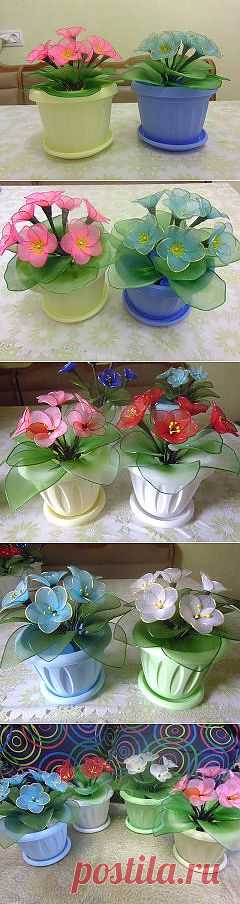 (44) Одноклассники