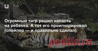 Огромный тигр решил напасть на ребенка. А тот его проигнорировал (спойлер — и правильно сделал) Огромный тигр решил напасть на маленького мальчика. А тот беззаботно играл, не обращая на животное никакого внимания. И правильно делал, ведь между ним и хищником было защитное стекло вольера. А значит, животное не могло нанести малышу никакого вреда.