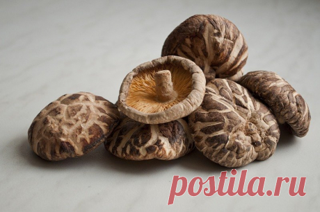 О целебных свойствах лекарственных грибов. Рецепты | Все об Осознанной Красоте