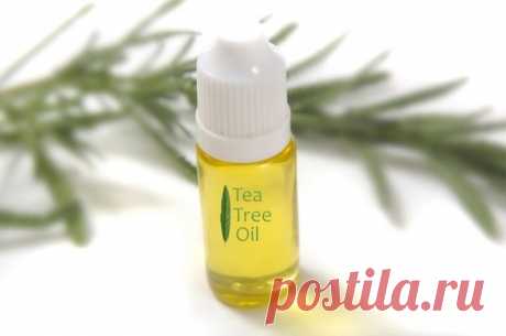 Полезные свойства масла чайного дерева: / Медицина для всех