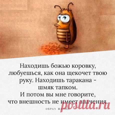 ОБРАЗ ЖИЗНИ|психология,отношения,общество|цитаты