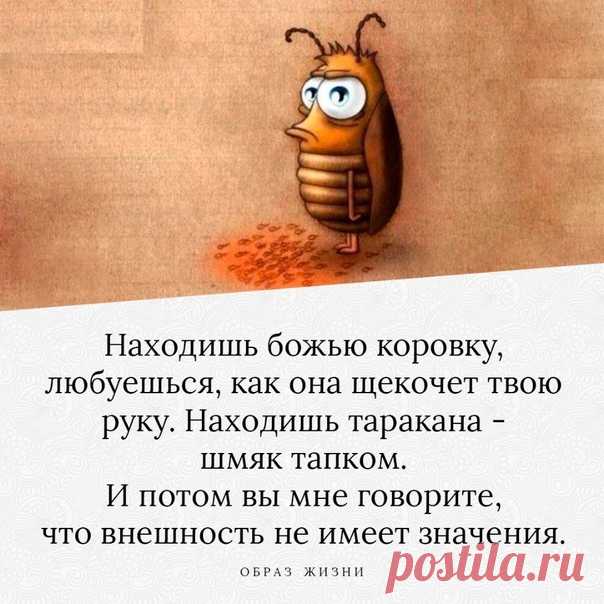 ОБРАЗ ЖИЗНИ|психология,отношения,общество|цитаты