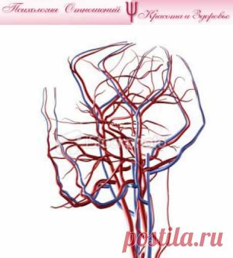 Сбой в работе сосудов - серьезная проблема со  здоровьем | Психология отношений. Красота и Здоровье