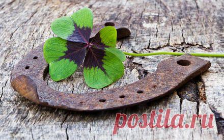 Какие приметы приносят счастье в новый дом? | Фэн-шуй и непознанное