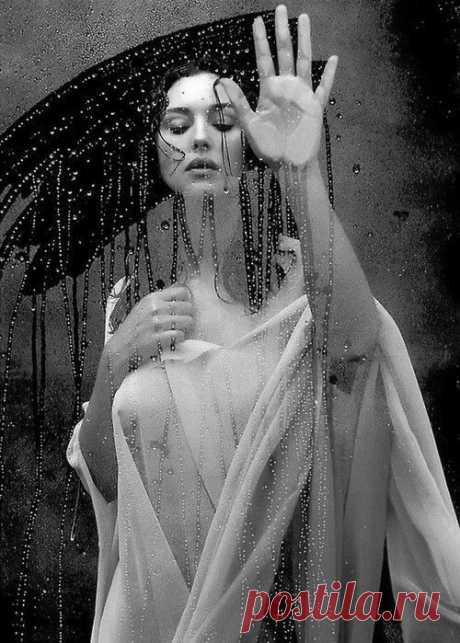 Monica Bellucci by Helmut Newton | чёрно белый нюанс