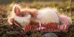 Вязаная спицами Морская Свинка Guinea Pig - Вяжи.ру
