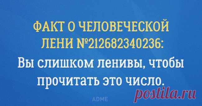 Как взять себя в руки: руководство для ленивых