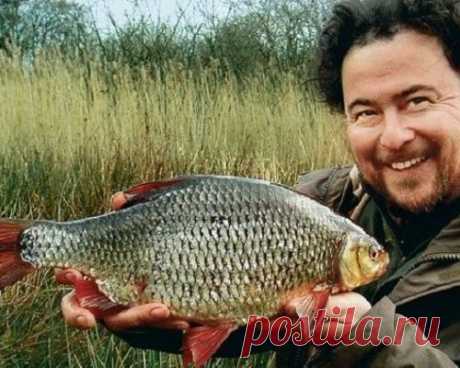 10 советов для ловли плотвы огромного размера