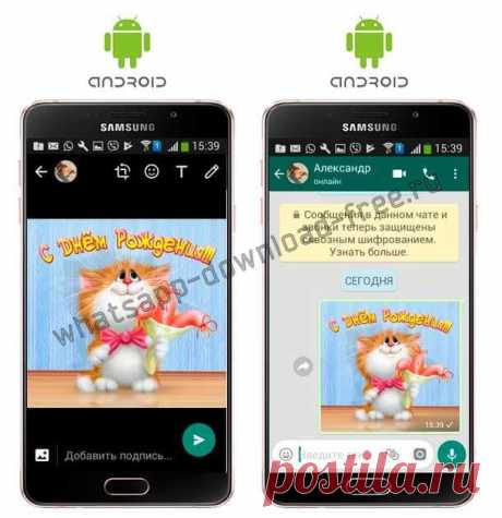 Открытки для WhatsApp. Открытки для Ватсапа