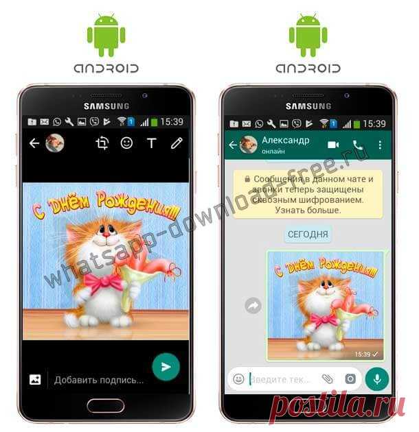 Открытки для WhatsApp. Открытки для Ватсапа