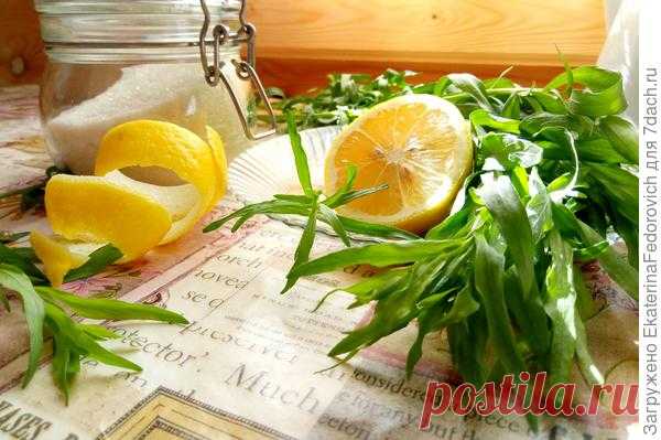 Дачный Тархун — нереально вкусный и полезный!