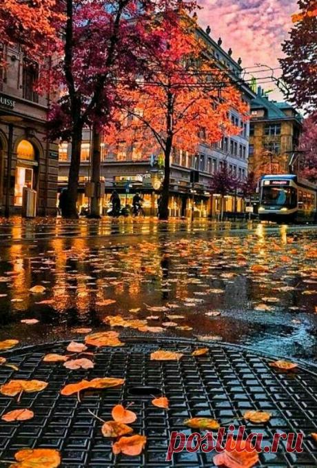 Image in Autumn