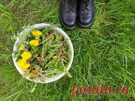 Научила трёхлетнюю дочку делать кудрявых кукол из одуванчиков. Мы в детстве играли с такими??
Кругом поля одуванчиков. На огороде сражаемся с ними, иначе наш газон превратится сначала в одуванчиковый лес, а потом — в белое пушистое покрывало))) А моя маленькая дочка Верочка — собирает их в букетики и учится плести венки. Сделала ей на днях украшение на голову: ободок с тканевыми солнышками. Столько радости было! Смотрите, как живые! Мастер-класс […]
Читай дальше на сайте. Жми подробнее ➡