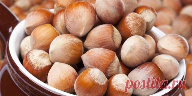 Лесной орех - фундук | Newpix.ru - позитивный интернет-журнал