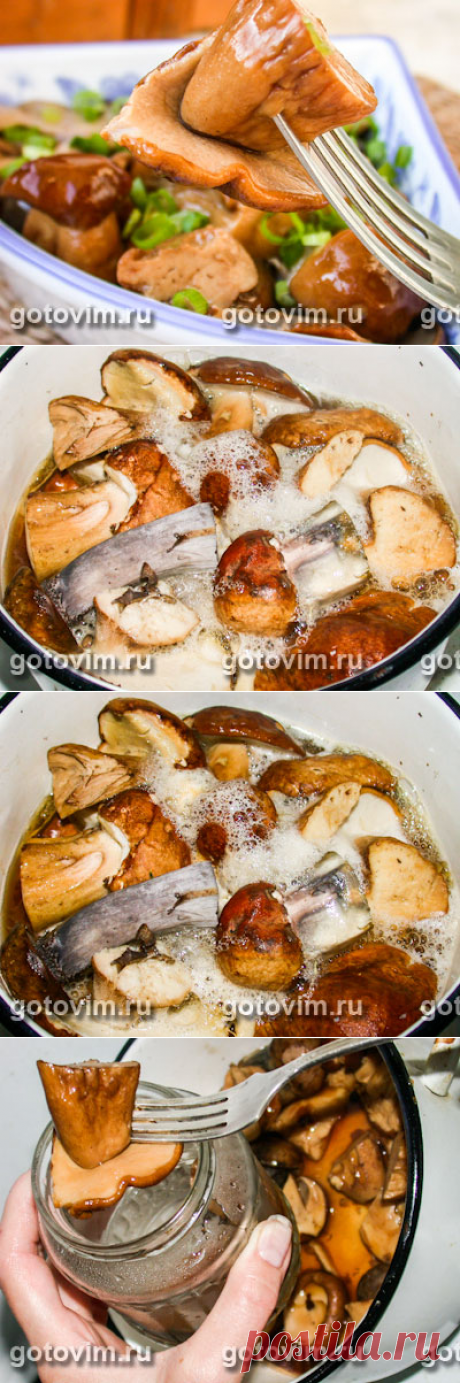 Маринованные белые грибы. Фото-рецепт  / Готовим.РУ