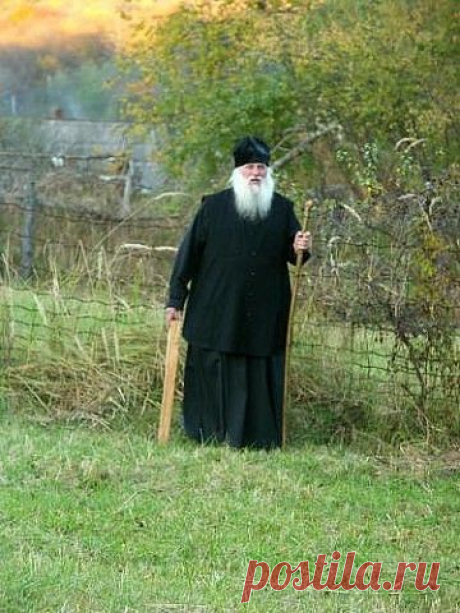 МОНАСТЫРСКИЙ РЕЦЕПТ ЛЕЧЕНИЯ РАКА ОТ ОТЦА ГЕОРГИЯ. | Познавательный сайт ,,1000 мелочей&quot;