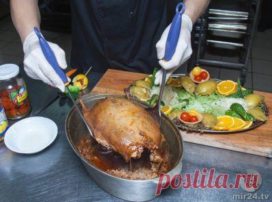 Русская кухня: рецепт утки, чиненой гречкой и грудинкой - МИР24