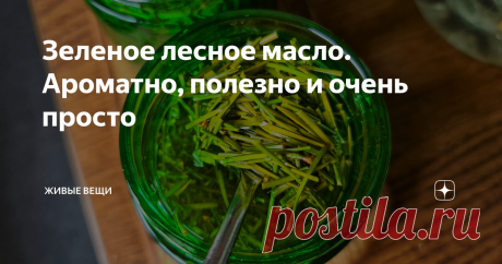 Зеленое лесное масло. Ароматно, полезно и очень просто Мои хвойные эксперименты продолжаются и сегодня я готова поделиться с вами новыми результатами. На очереди хвойное масло. Но сначала я вам в двух словах расскажу, как хранить и собирать хвою. В идеале, конечно, собрать в лесу сломанные только что ветки после сильных ветров, но можно взять и просто хвоинки с живых веток. Важно не оголять полностью ветку, а брать лишь небольшие пучки, но только с самого конца веточек - т...