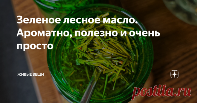 Зеленое лесное масло. Ароматно, полезно и очень просто Мои хвойные эксперименты продолжаются и сегодня я готова поделиться с вами новыми результатами. На очереди хвойное масло. Но сначала я вам в двух словах расскажу, как хранить и собирать хвою. В идеале, конечно, собрать в лесу сломанные только что ветки после сильных ветров, но можно взять и просто хвоинки с живых веток. Важно не оголять полностью ветку, а брать лишь небольшие пучки, но только с самого конца веточек - т...