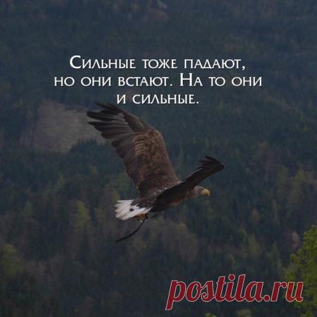 10 правил притяжения любви 

Энергия наших мыслей способна сделать счастливым каждого из нас! 

Наши мысли — это сигналы, которые мы постоянно посылаем во Вселенную. Она же реагирует на каждый из них, то есть выполняет все наши запросы. Но, увы, делает это буквально. И когда у нас появляются мысли о вещах, которых мы боимся... 
Читaть продолжение...