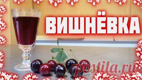 Вишневка - вишневая домашняя настойка | Доброслав13 | Дзен