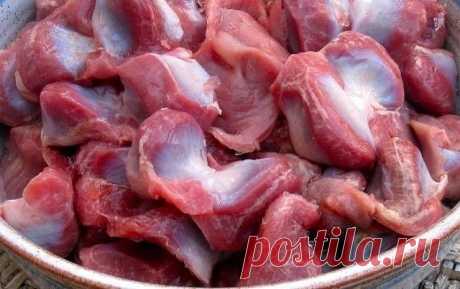 КУРИНЫЕ ЖЕЛУДКИ