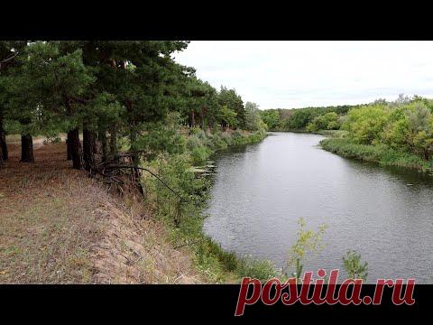 Излучина / Река Бузулук