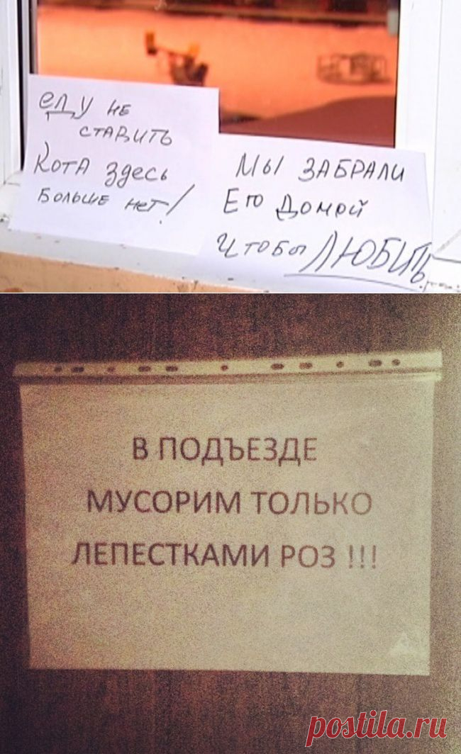 Жизнь подъезда