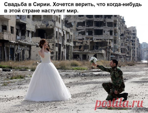 Интересные Факты