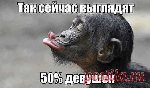 Девушки, милые, когда фотографируетесь говорите "сыыыр", а не "утюююг".