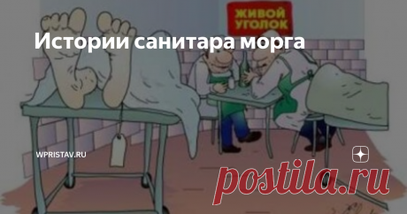Истории санитара морга Недавно  появился у меня в отделе новый сотрудник. Как водится в нашей сфере –  высшее медицинское образование, пара лет работы в учреждении  здравоохранения, потом бегство от огромных зарплат в околомедицинскую  коммерческую структуру.
Директор уже давно подшучивает:
- Из  вашего отдела можно отдельную больницу собрать. У вас тут и  реаниматолог, и кардиолог, и инфекционист и пара терапевтов