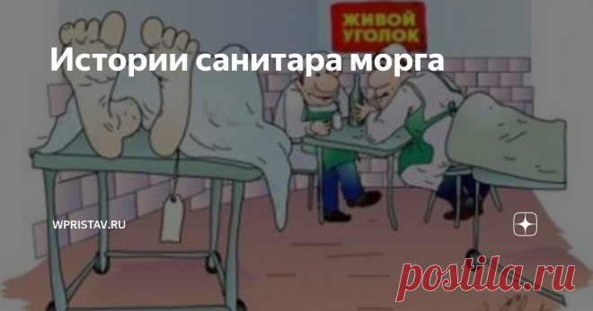 Истории санитара морга Недавно  появился у меня в отделе новый сотрудник. Как водится в нашей сфере –  высшее медицинское образование, пара лет работы в учреждении  здравоохранения, потом бегство от огромных зарплат в околомедицинскую  коммерческую структуру.
Директор уже давно подшучивает:
- Из  вашего отдела можно отдельную больницу собрать. У вас тут и  реаниматолог, и кардиолог, и инфекционист и пара терапевтов